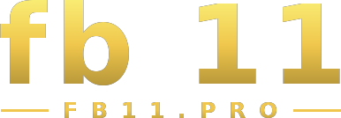 fb 11 logo